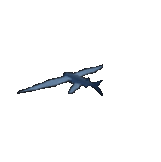 Flying Fish